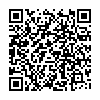 QR Code für Museumsnacht Zwickau