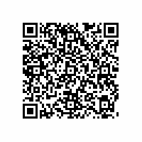 QR Code für Schätzchen aus dem Museumsdepot: Modell einer Ritterburg, um 1940