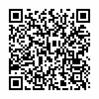 QR Code für FreiRAUM: Tobias Izsó. feuchtes holz